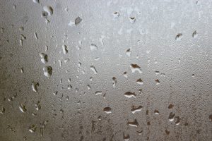 condensation on window